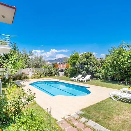 Villa Dolphin Villa *