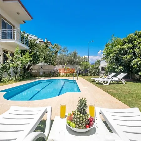 Dolphin Villa
